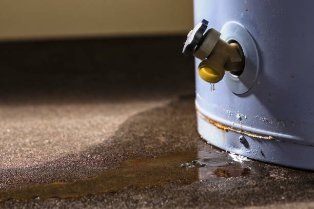 Best Carpet water damage restoration  in Hackettstown, NJ