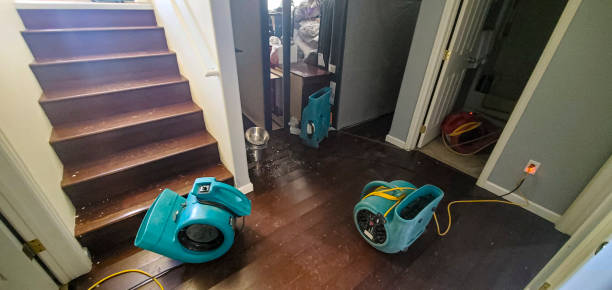 Carpet water damage restoration in NJ