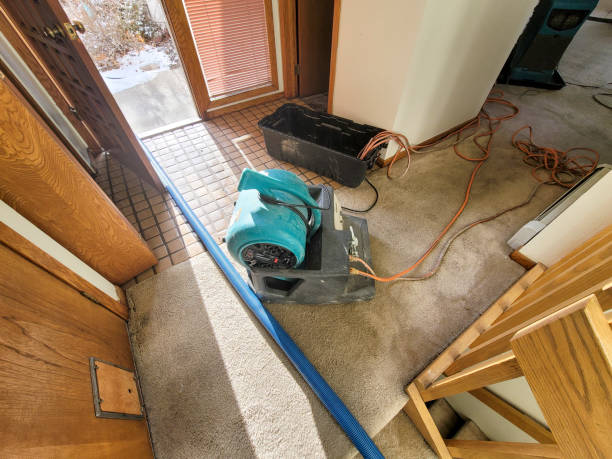 Best Flooded house restoration  in Hackettstown, NJ