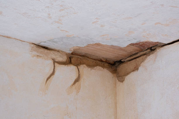 Best Mold removal after water damage  in Hackettstown, NJ