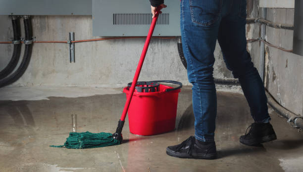 Best Flooded house restoration  in Hackettstown, NJ