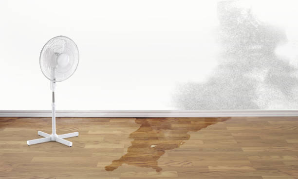  Hackettstown, NJ Water damage restoration Pros