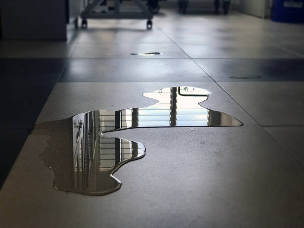 Best Water damage restoration services  in Hackettstown, NJ