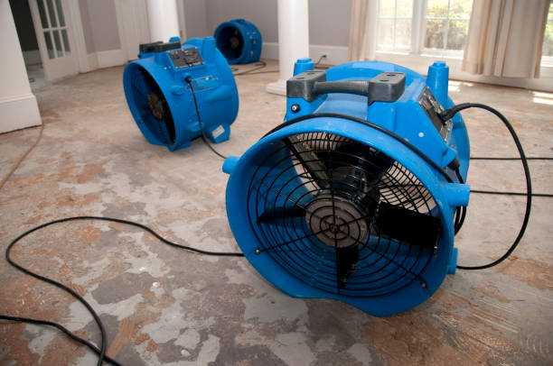 Best Ceiling water damage repair  in Hackettstown, NJ