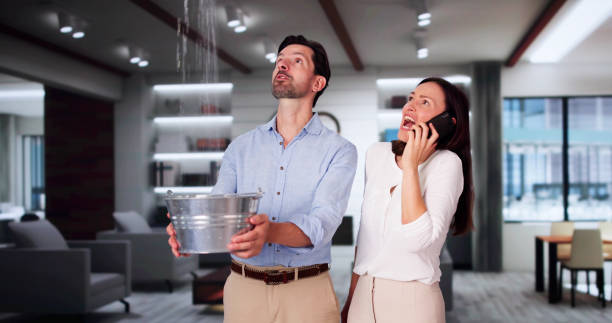 Best Water damage contractors near me  in Hackettstown, NJ