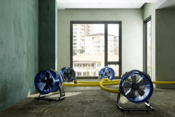 Best Basement water damage restoration  in Hackettstown, NJ